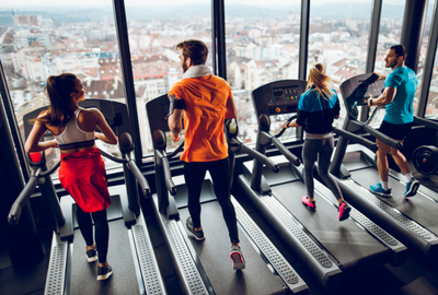 Tribulus Terrestris Nedir? Sporcular İçin 4 Potansiyel Faydası