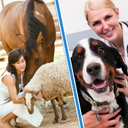 Veterinerlik Ürünleri