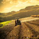 Tarım ve Hayvancılık Ürünleri