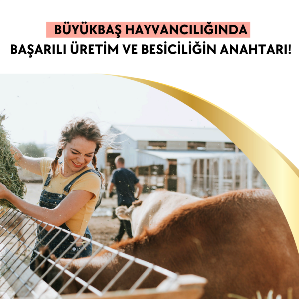 ACTO® AL FORCE BOVINE 5 Lt | Büyükbaş Hayvanlar için Sıvı Tamamlayıcı
