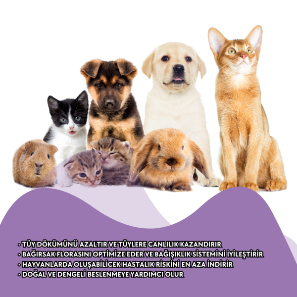 ACTO® AL FORCE PETS 5 Litre