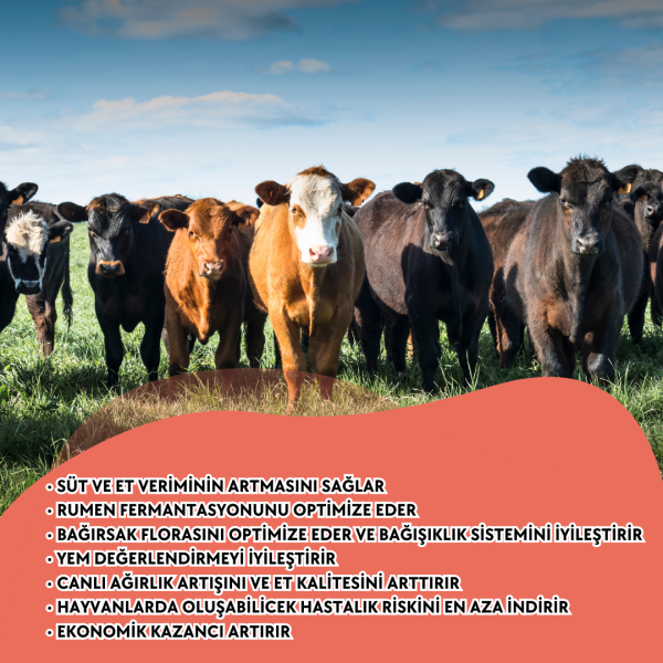 ACTO® AL FORCE BOVINE 1 Litre