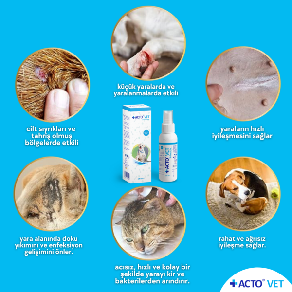 ACTO® VET SOLUTION Kedi-Köpek için Yara Bakım Solüsyonu - Toptan Satış 50 ml