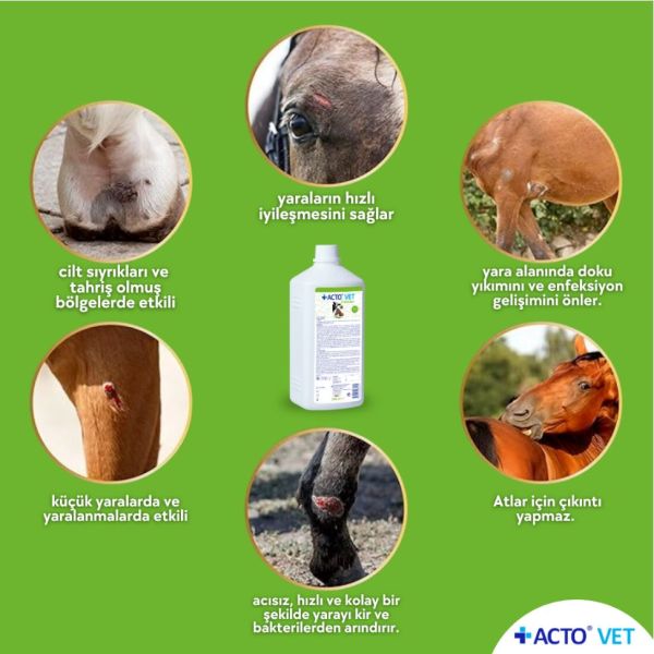 ACTO® VET SOLUTION Büyükbaş Hayvanlar için Yara Bakım Solüsyonu - Toptan Satış