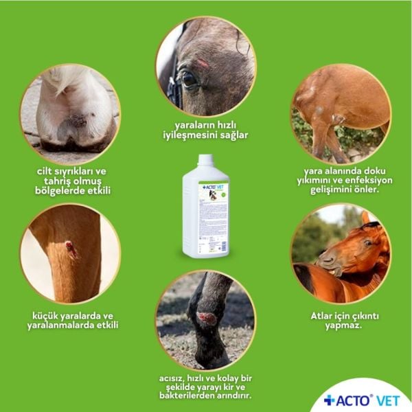 ACTO® VET SOLUTION Büyükbaş Hayvanlar için Yara Bakım Solüsyonu - Toptan Satış