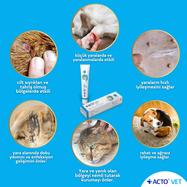 ACTO® VET GEL 50 ml Evcil Hayvanlar için Yara Bakım Jeli - Toptan Satış