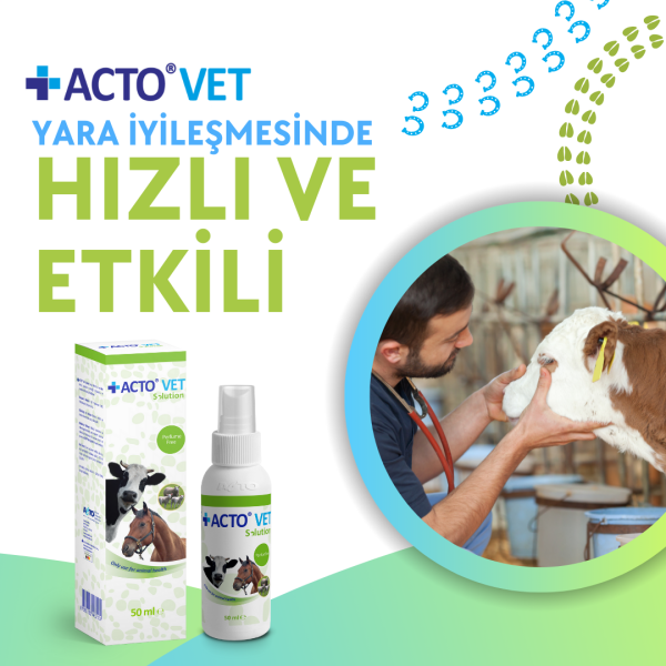 ACTO® VET SOLUTION 50 ml Büyükbaş Hayvanlar için Yara Bakım Solüsyonu