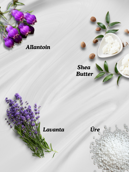 Aclind® Foot Care Cream 75 ML (Ayak Bakım Kremi)